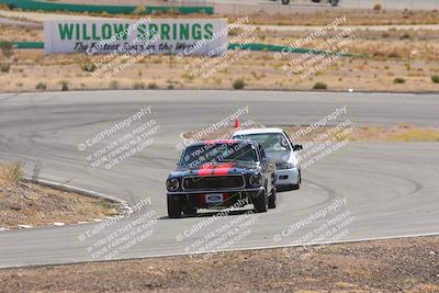 media/Oct-25-2025-West Coast Racing (Sat) [[9fdcbcd09c]]/Green group/Turn 3/